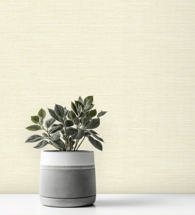 Papel pintado liso efecto fibra vegetal Graham Hall 679777