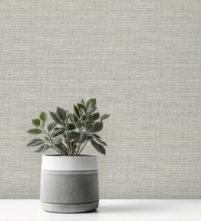 Papel pintado liso efecto fibra vegetal Graham Hall 679776