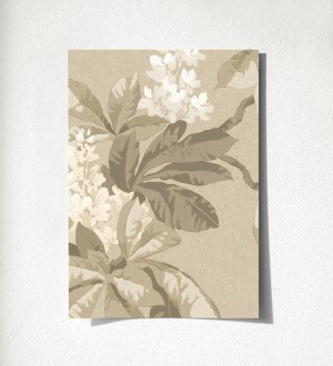 Muestra de papel pintado Blooming Serenade 683427 Blooming Serenade 500683427