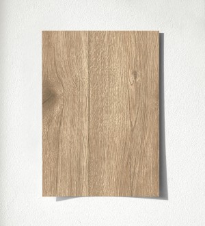 Muestra de papel pintado Catival Wood 683243 Catival Wood 500683243