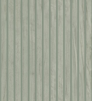 Oak Orbit 683354