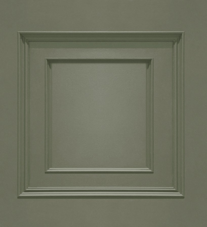 Papel pintado con efecto visual de casetones de madera color verde caqui sin relieve  Hampton Frame 683595