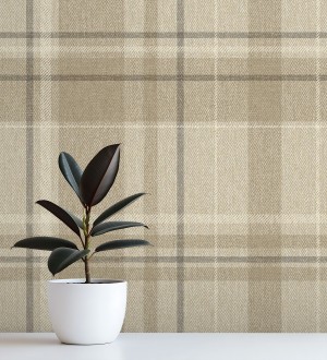 Chevron Edward 683559