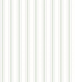 Albert Stripes 126497