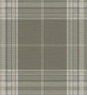 Papel pintado A Street Prints Haberdashery FD27384