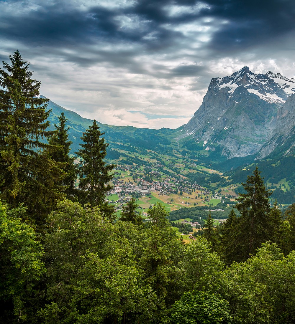 Papel pintado As Creation Designwalls DD118620  