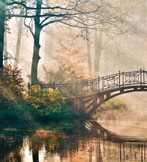 Papel pintado As Creation Designwalls DD118622