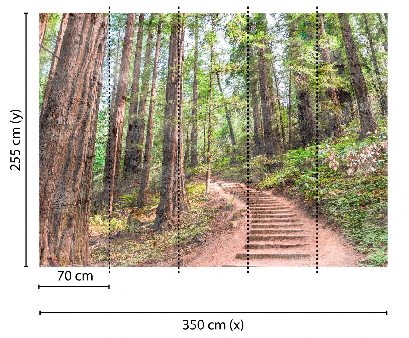 Papel pintado As Creation Designwalls DD118626  