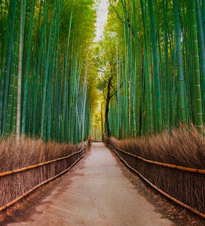 Papel pintado As Creation Designwalls DD118630