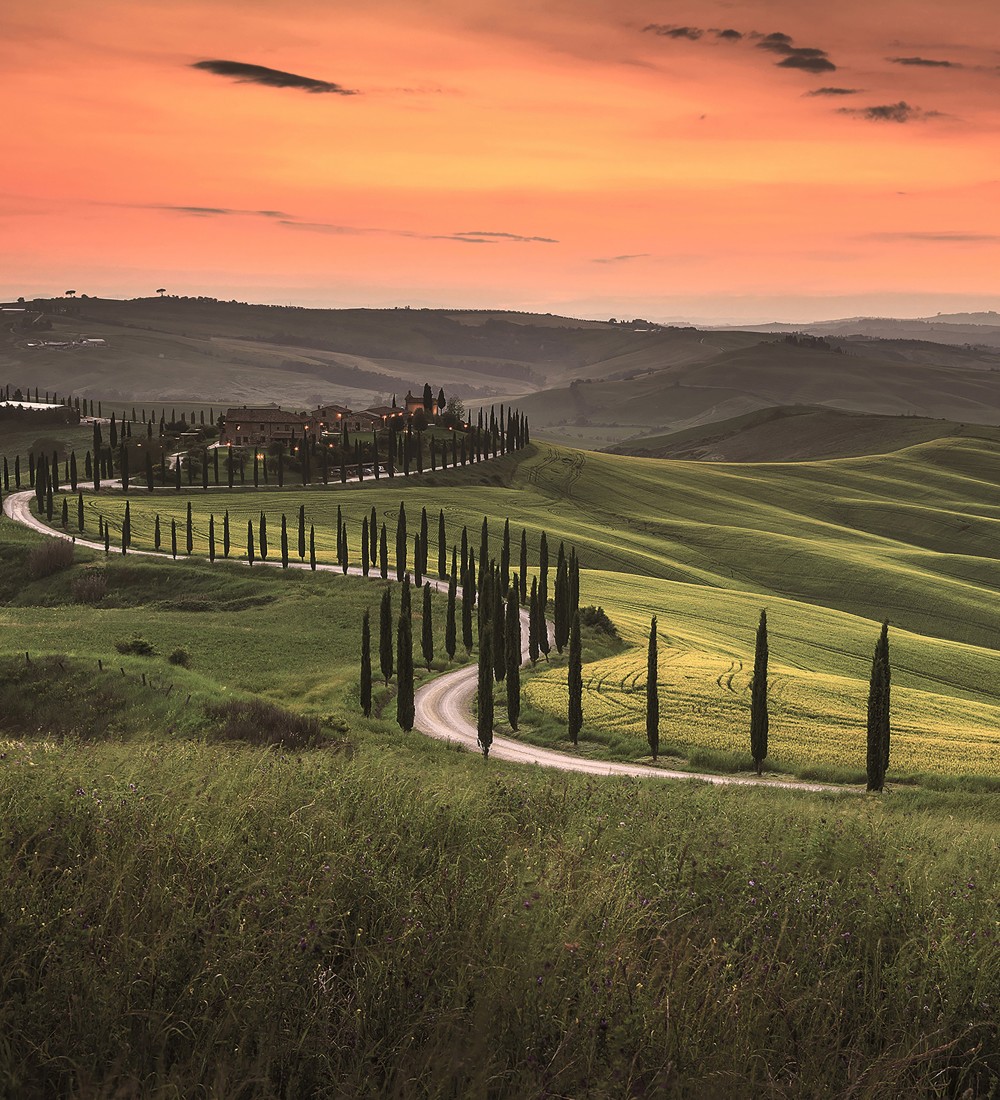 Papel pintado As Creation Designwalls DD118652  