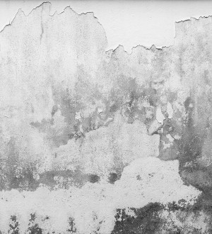 Papel pintado As Creation Designwalls DD118766