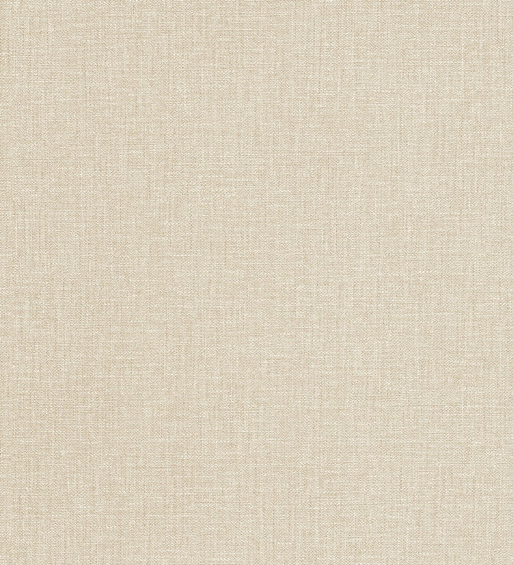 Papel pintado Erismann ColourTexture 10450-14  | 1045014 