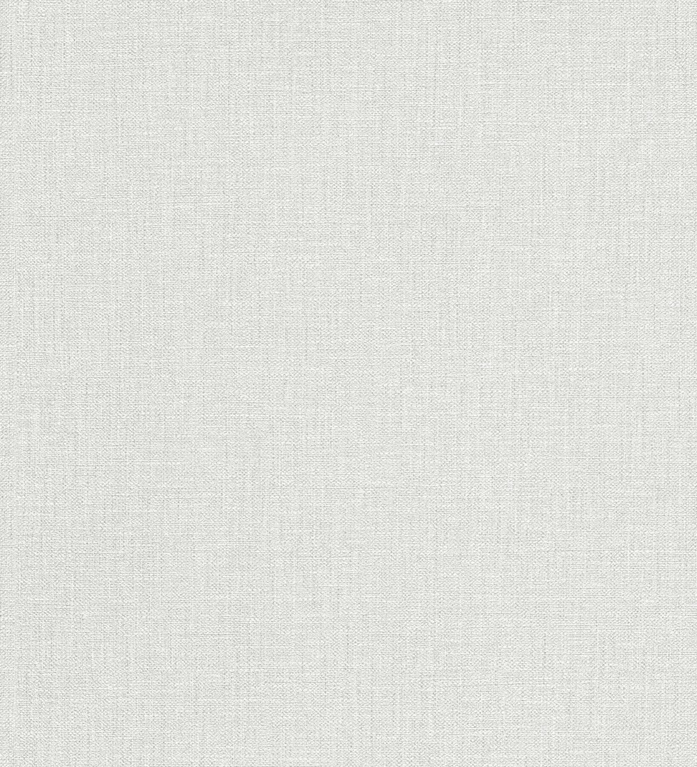 Papel pintado Erismann ColourTexture 10450-31  | 1045031 